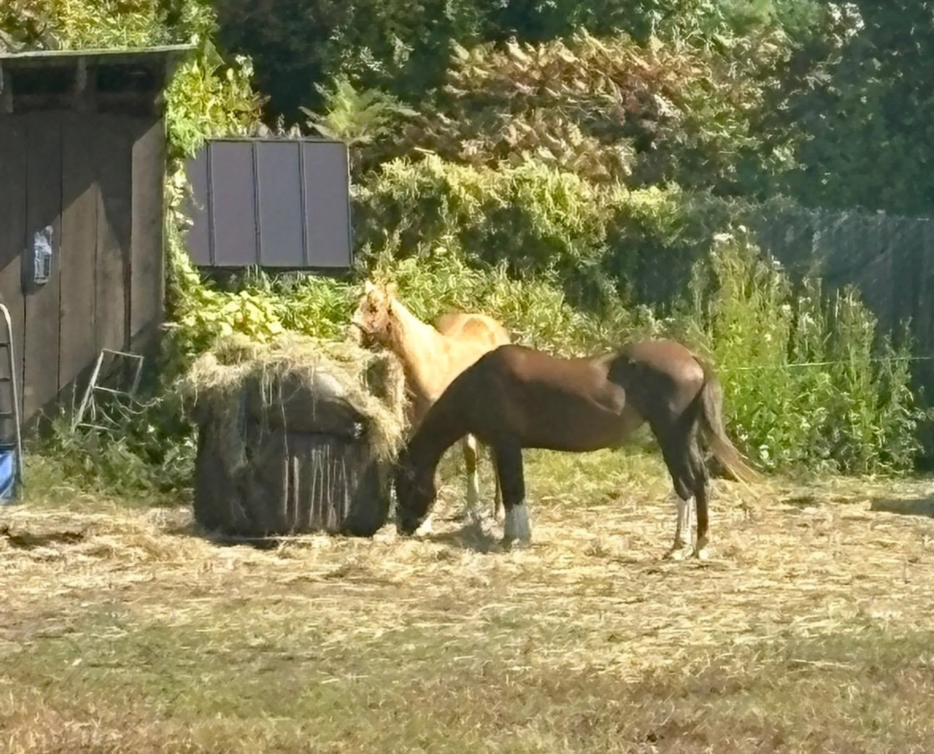 19 Back Ashuelot Road Winchester NH 03470