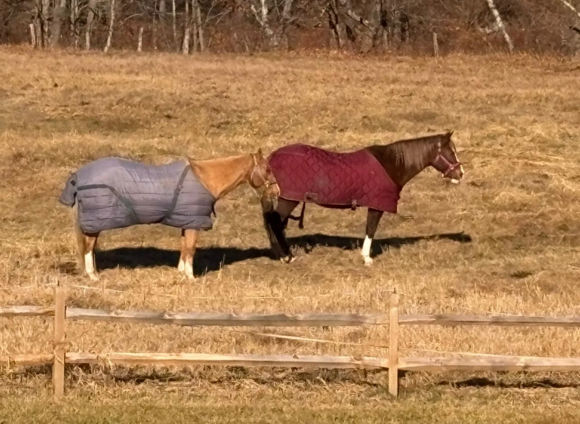 19 Back Ashuelot Road Winchester NH 03470