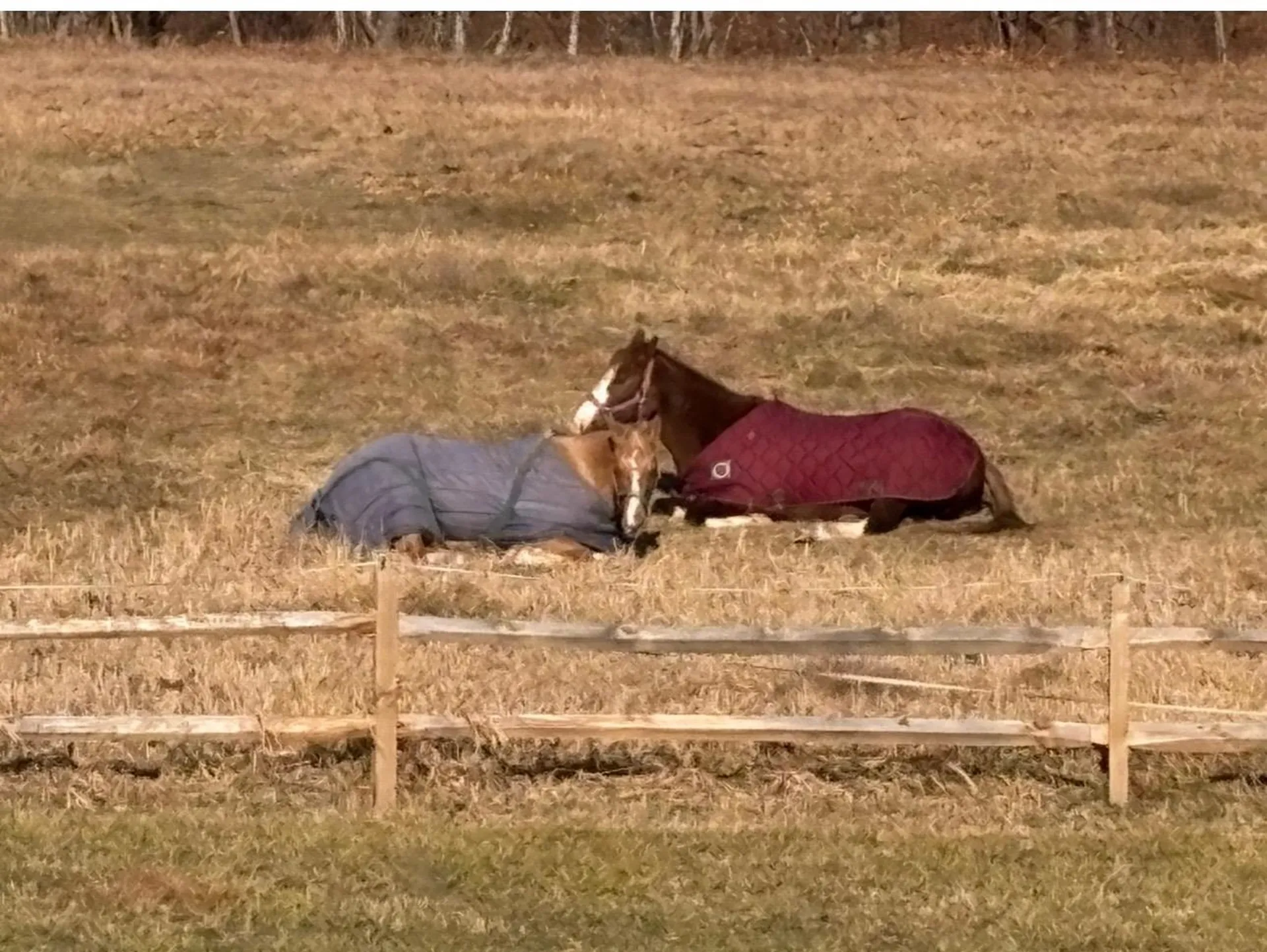 19 Back Ashuelot Road Winchester NH 03470