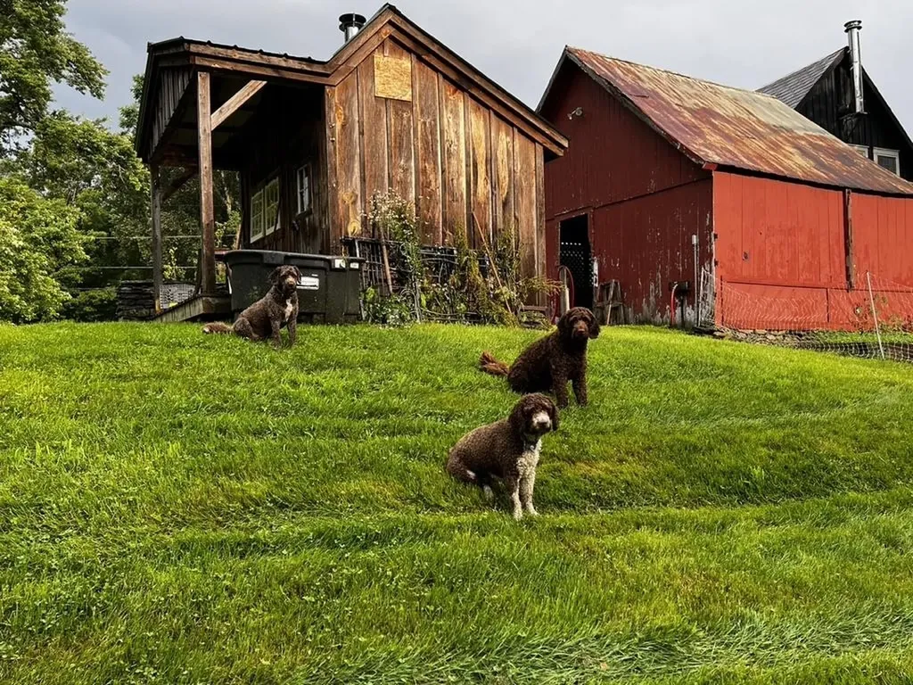 95 Middletown Road Londonderry VT 05155