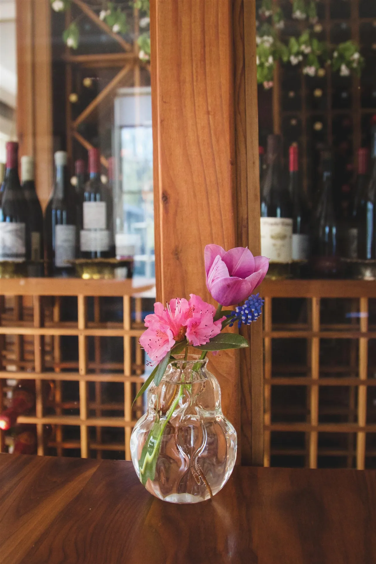 95 Middletown Road Londonderry VT 05155