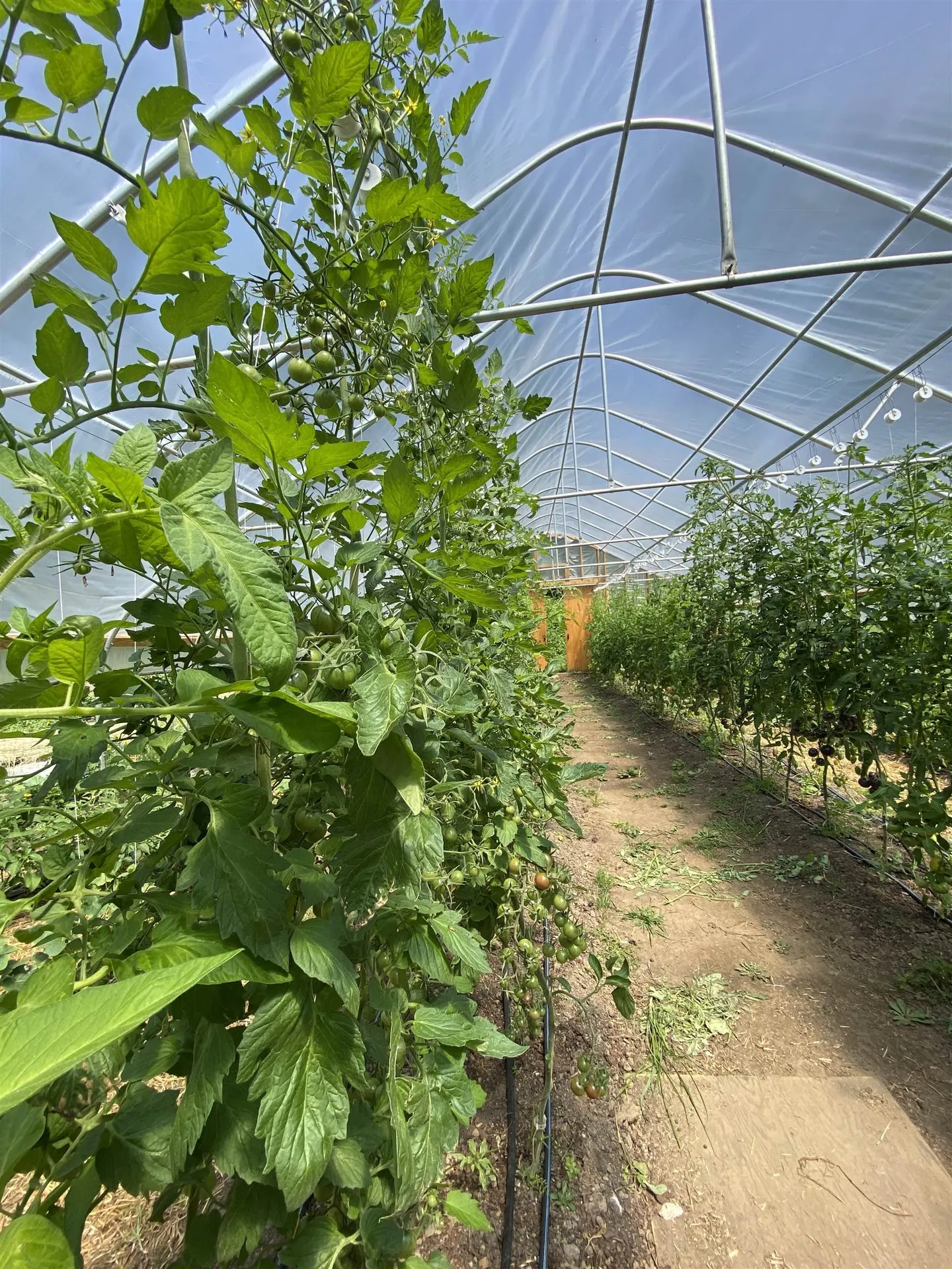 95 Middletown Road Londonderry VT 05155