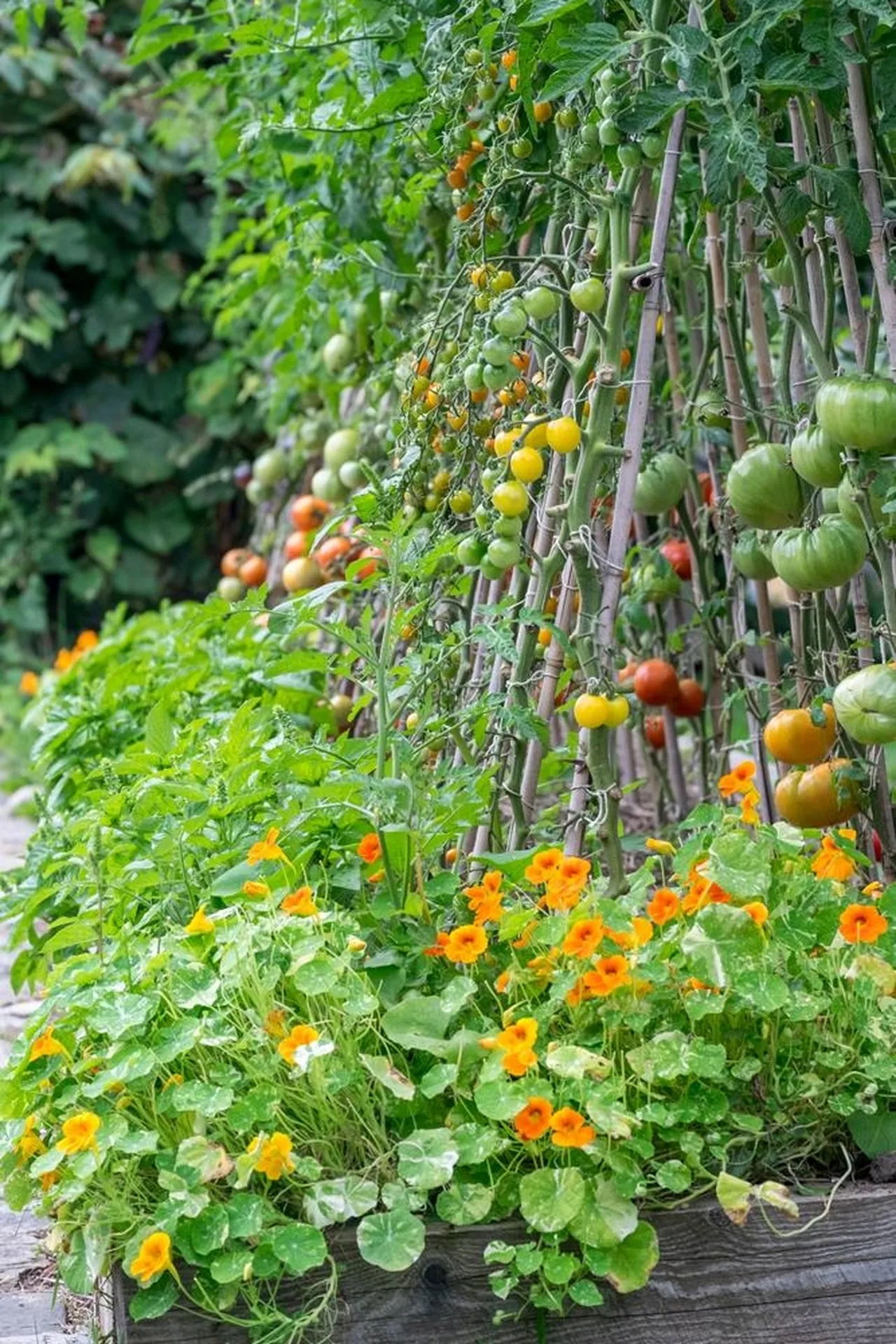 95 Middletown Road Londonderry VT 05155