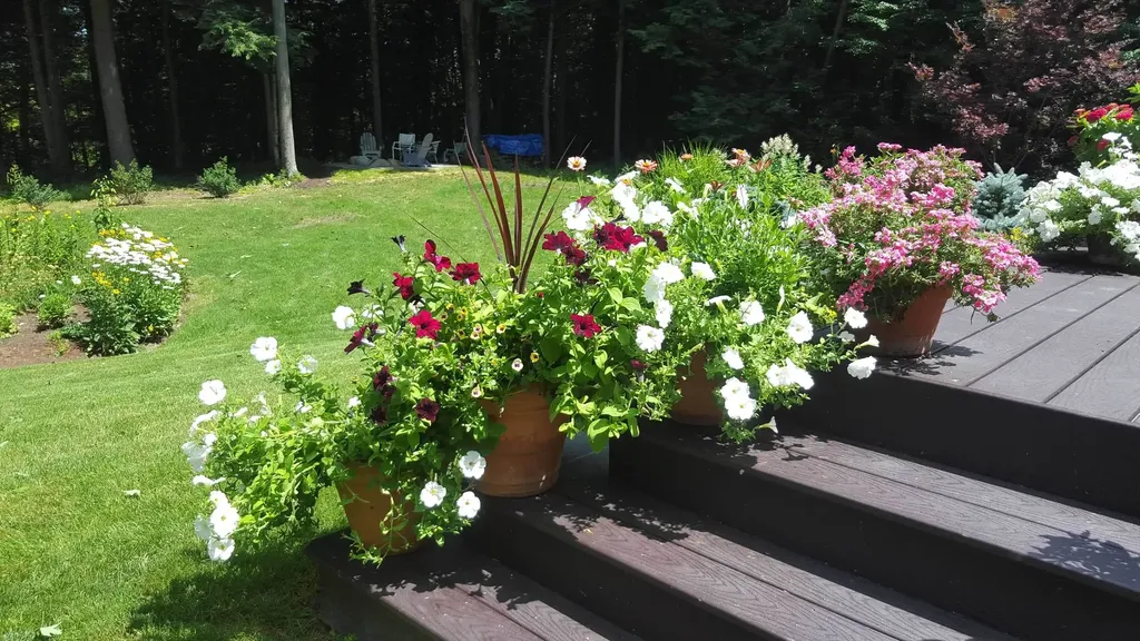 225 Lewis Creek Drive Ferrisburgh VT 05456