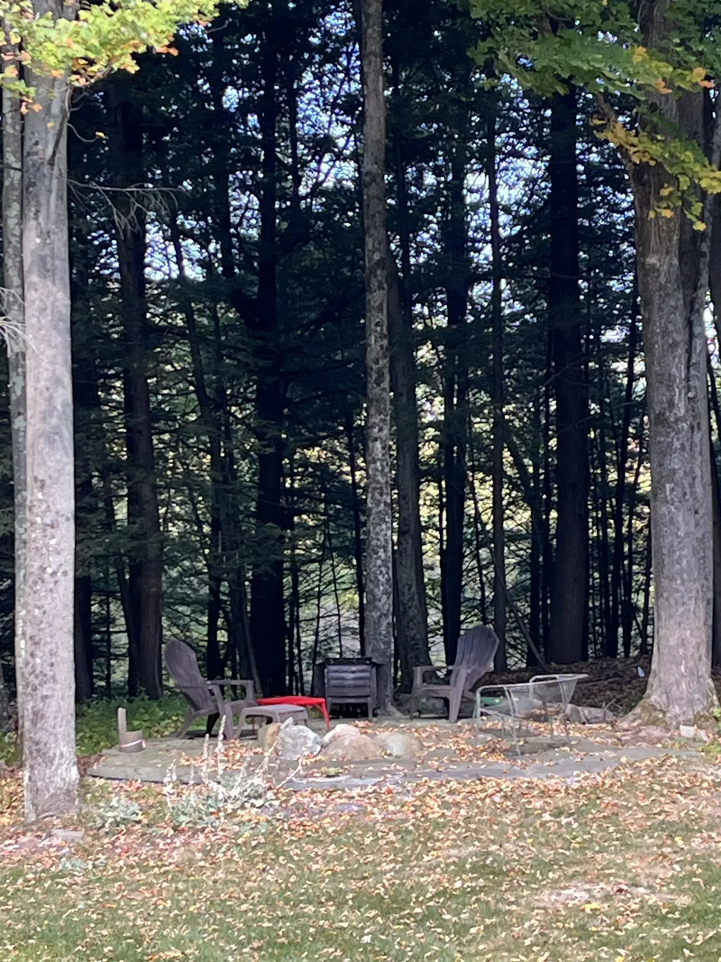 225 Lewis Creek Drive Ferrisburgh VT 05456