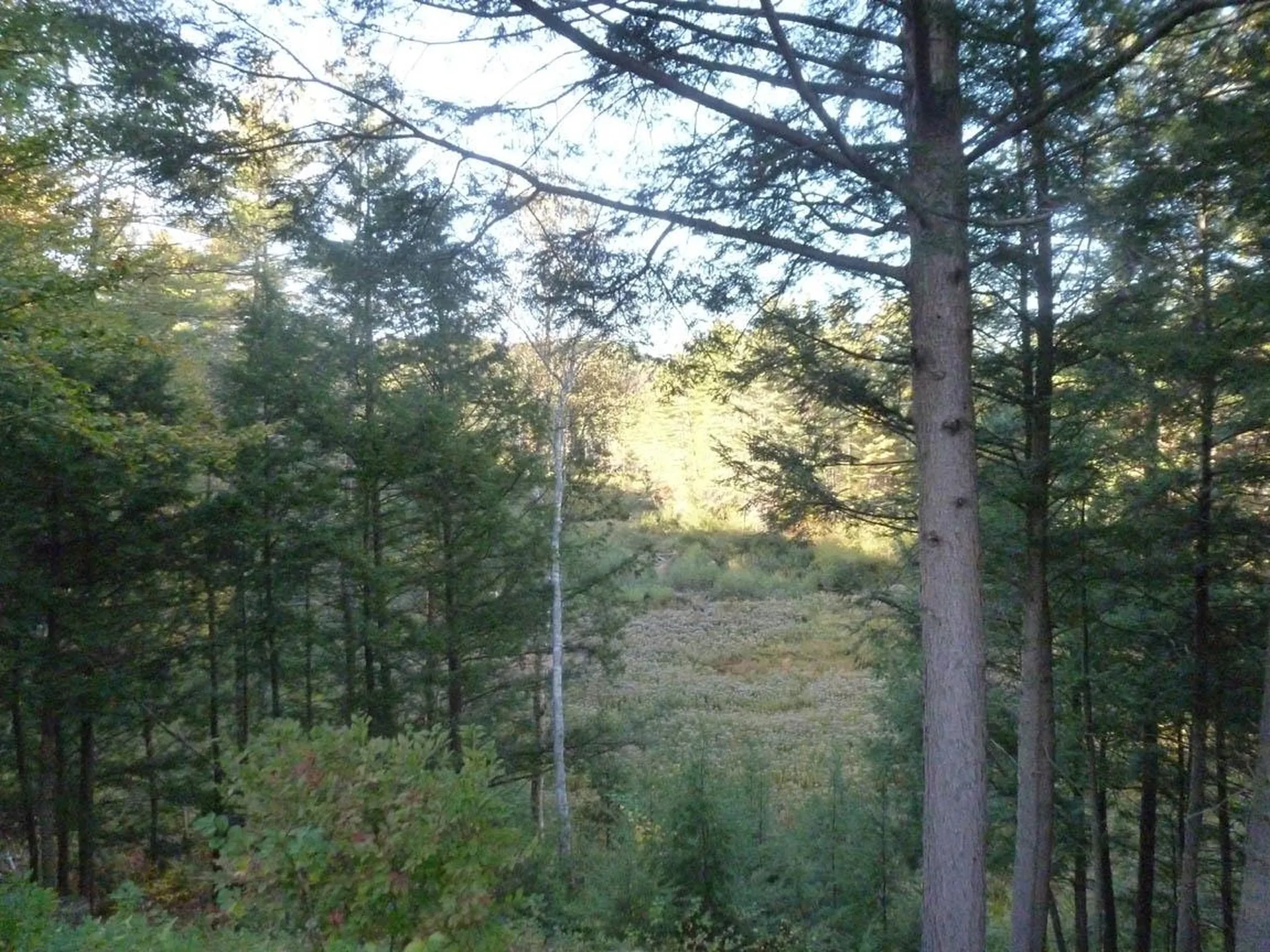 3 Shop Road Hill NH 03243