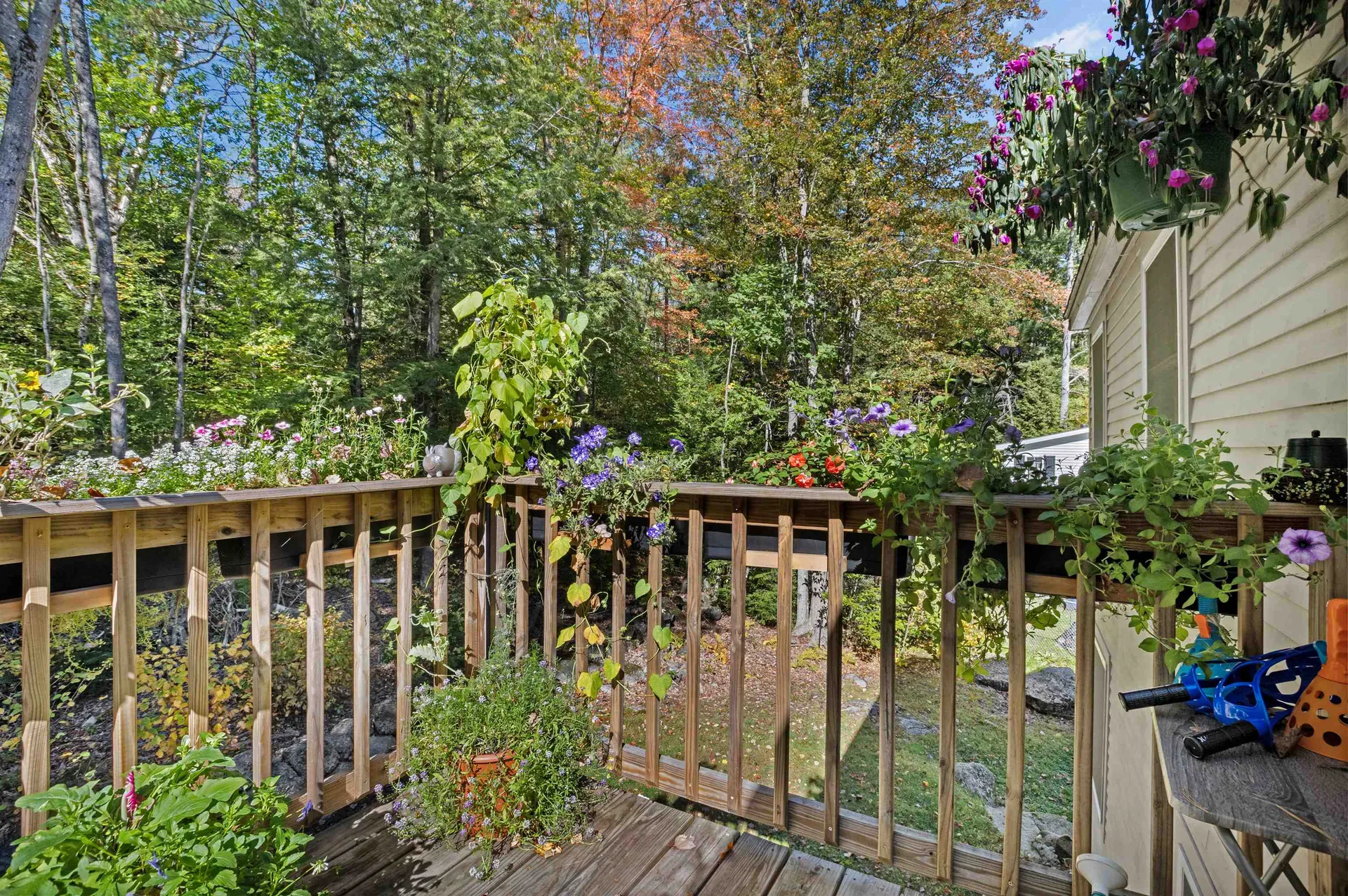 31 Woodlawn Avenue Hillsborough NH 03244