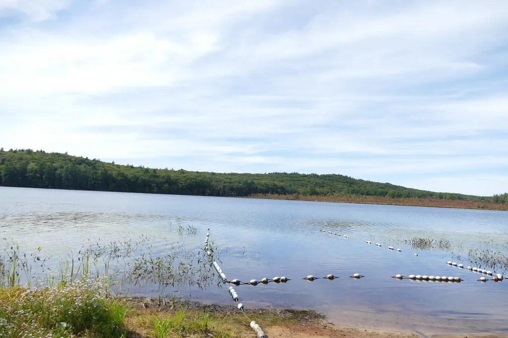 4 Stephanie Road Dunbarton NH 03046