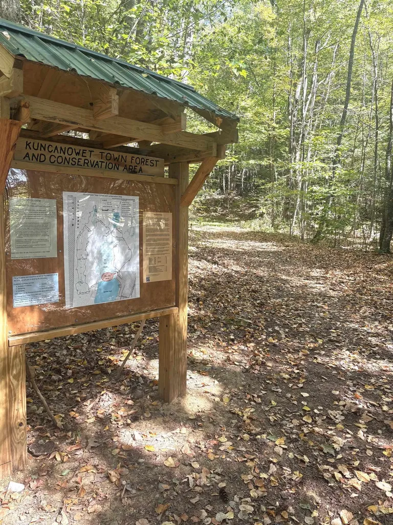 4 Stephanie Road Dunbarton NH 03046