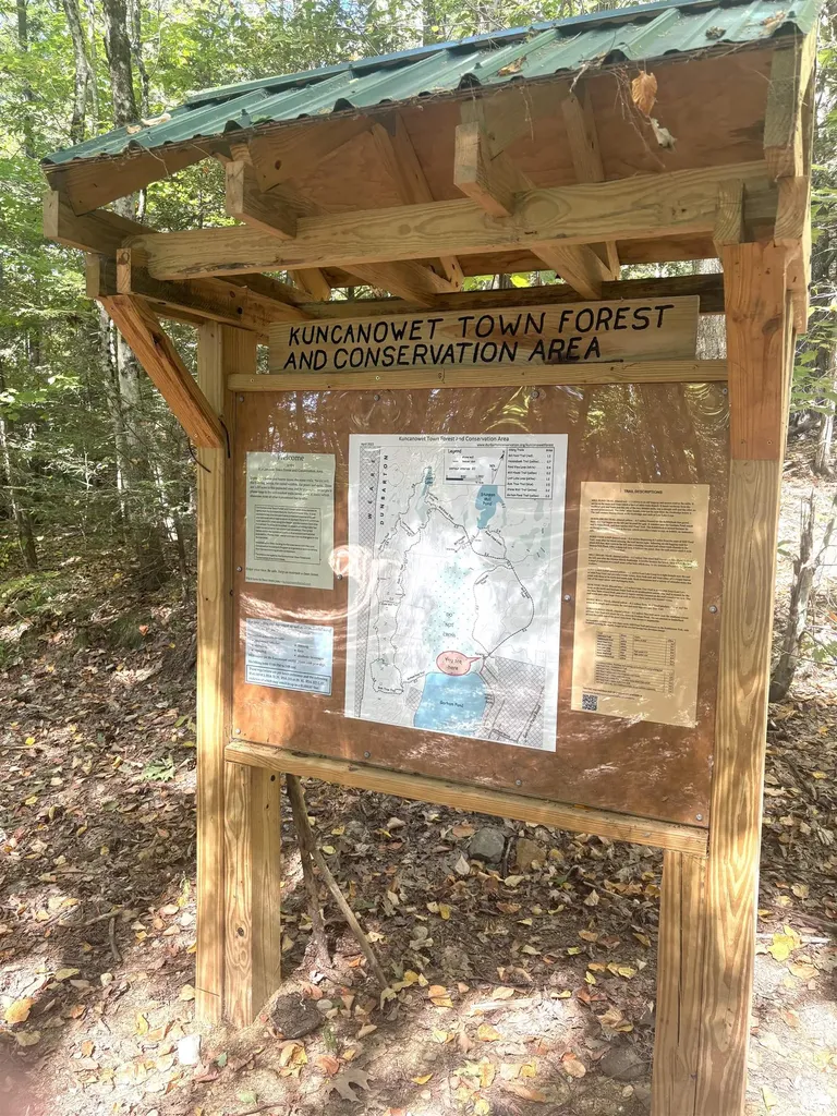 4 Stephanie Road Dunbarton NH 03046