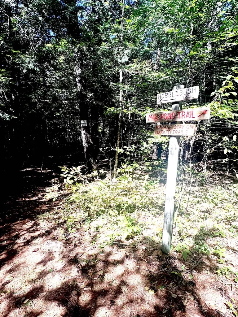 4 Stephanie Road Dunbarton NH 03046