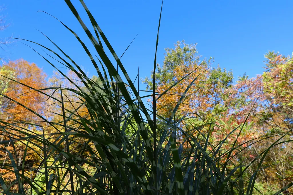 1001 Woodstock Road Hartford VT 05001