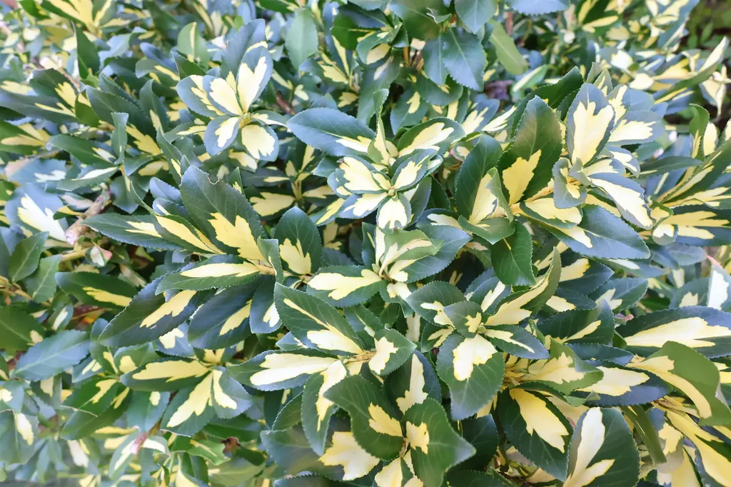 1001 Woodstock Road Hartford VT 05001