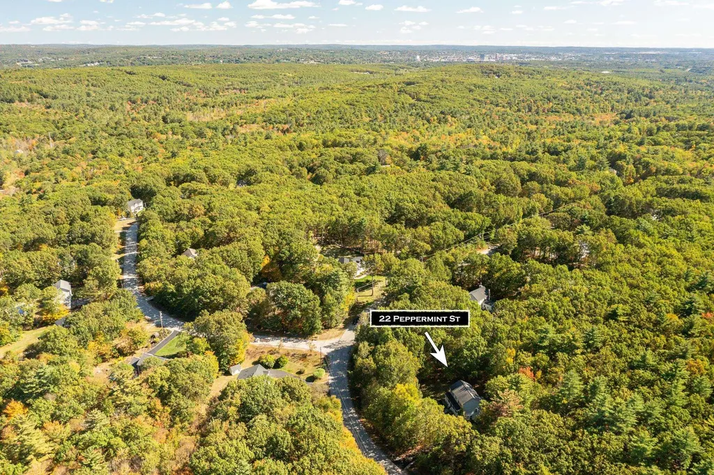 22 Peppermint Street Goffstown NH 03045