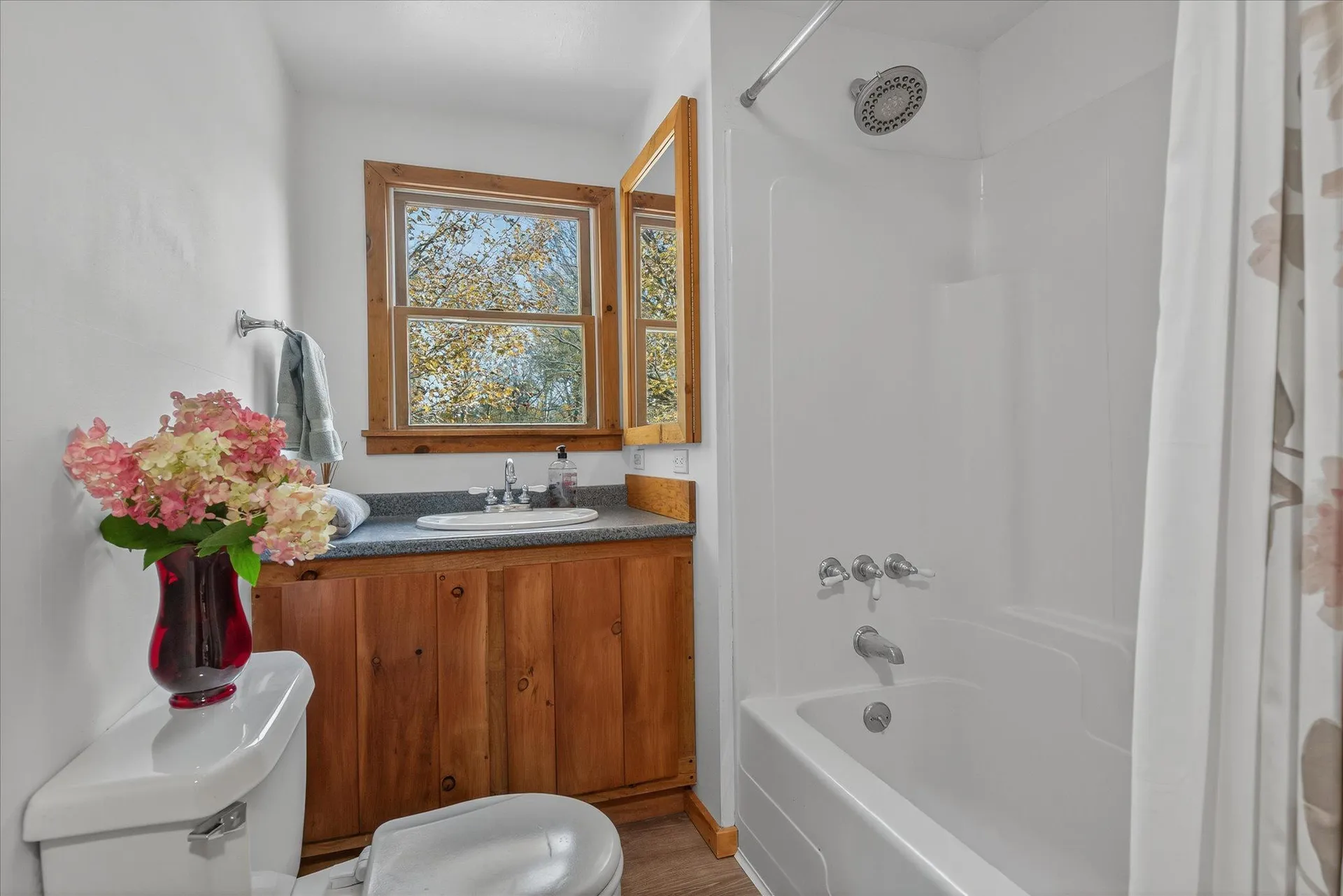 1243 Summit Road Mount Holly VT 05758