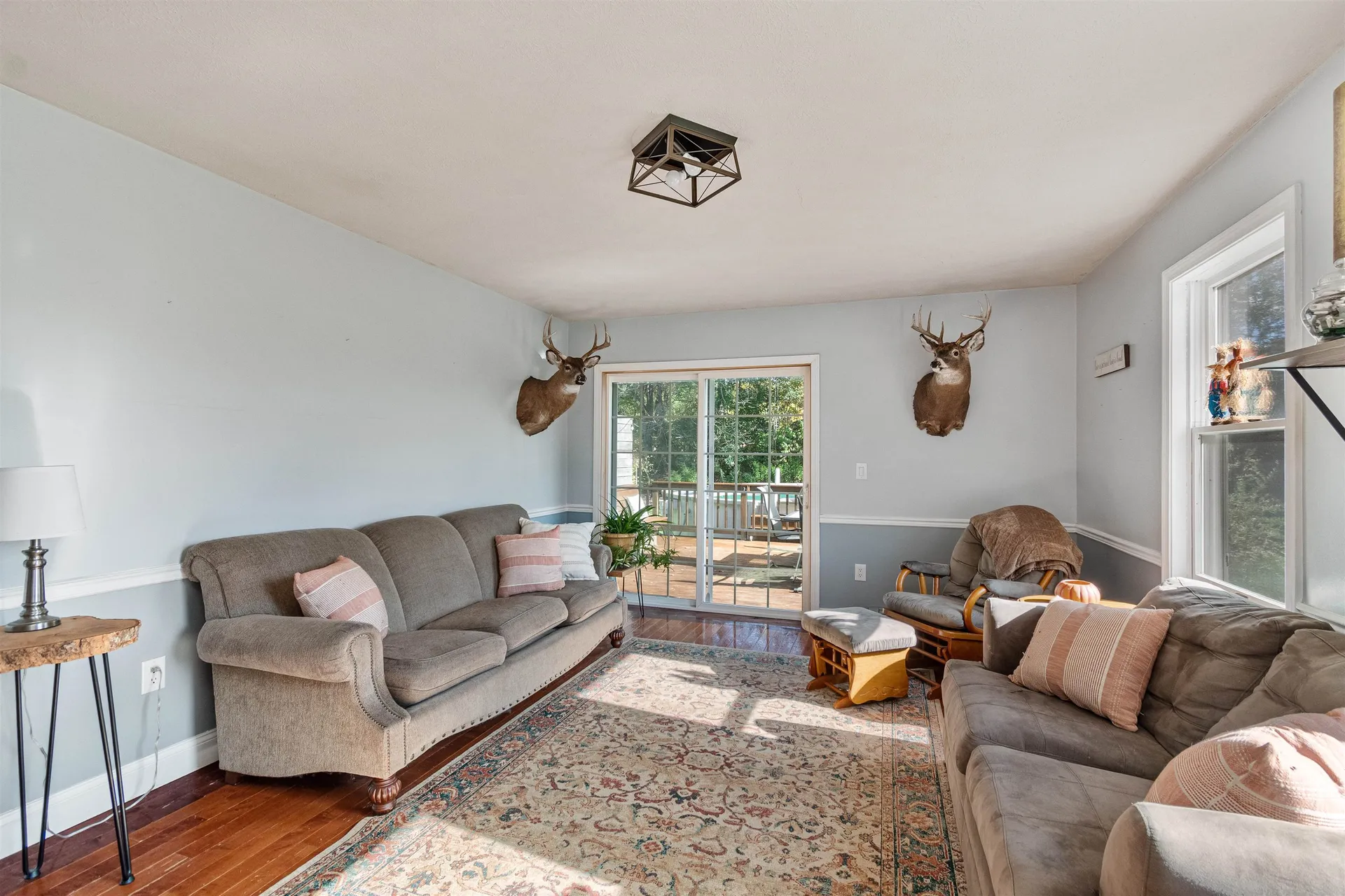 37 Morgan Road Jericho VT 05465