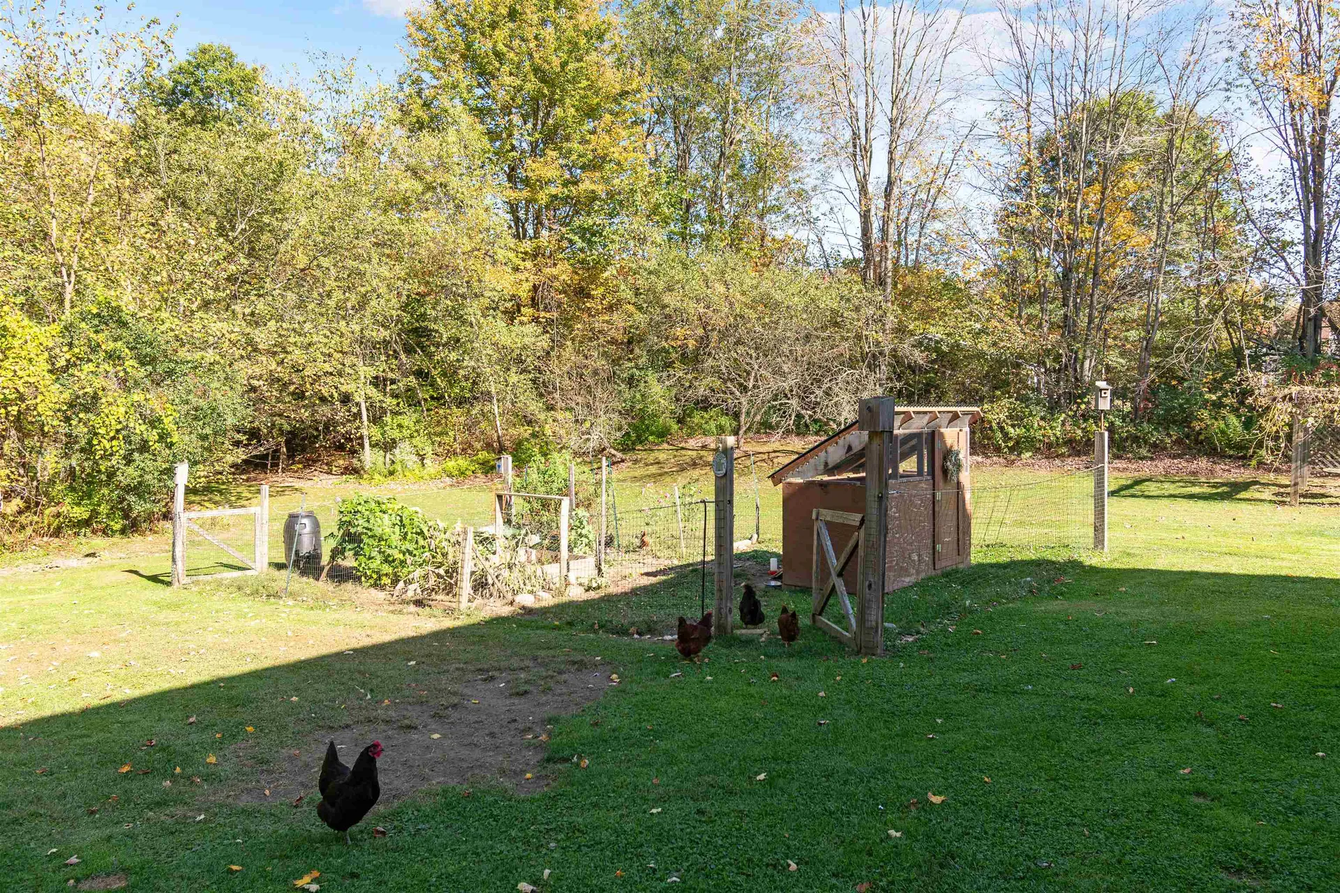 37 Morgan Road Jericho VT 05465