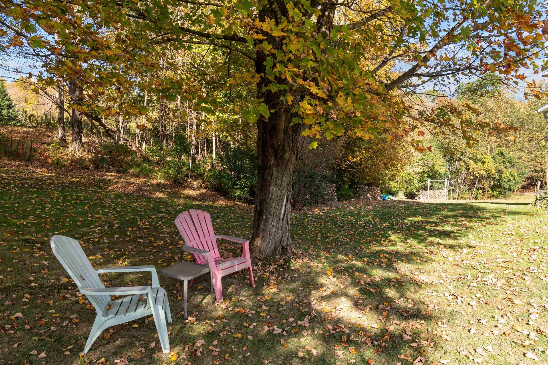 37 Morgan Road Jericho VT 05465