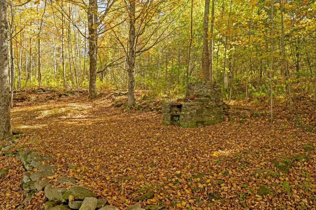 102 Church Street Mount Holly VT 05758