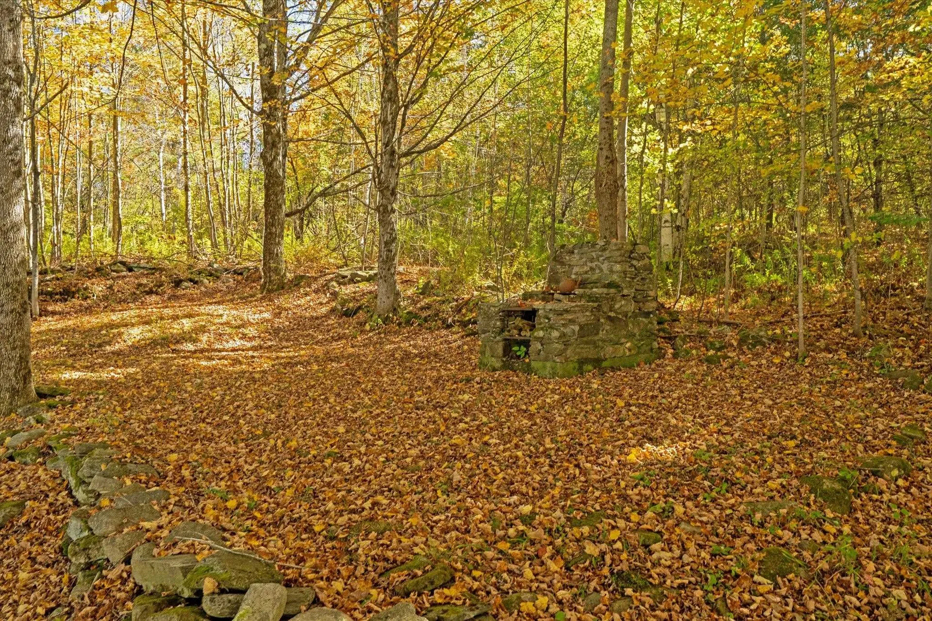 102 Church Street Mount Holly VT 05758