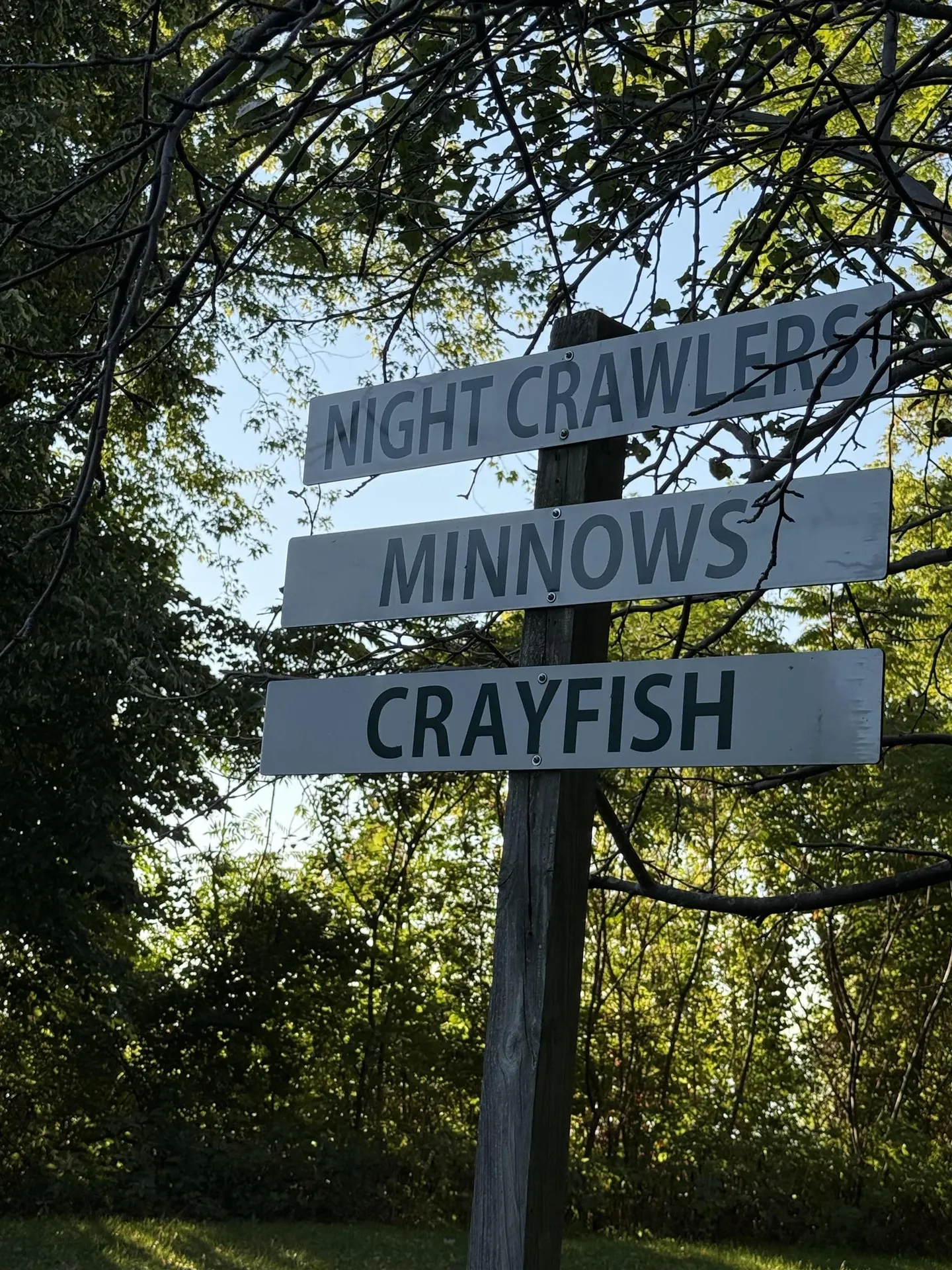 3181 North Avenue Burlington VT 05408