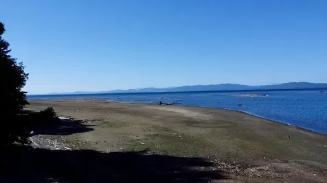 3181 North Avenue Burlington VT 05408