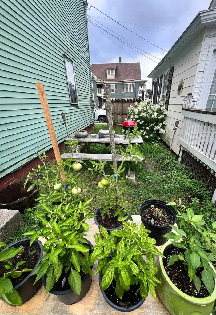 12 Laurel Avenue Rockingham VT 05101