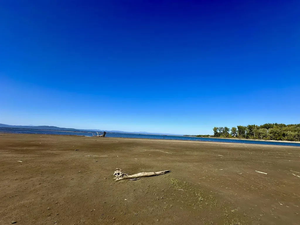 3181 North Avenue Burlington VT 05401