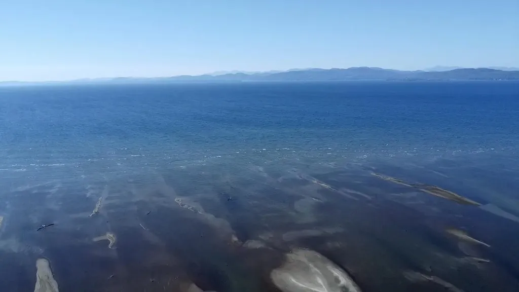 3181 North Avenue Burlington VT 05401