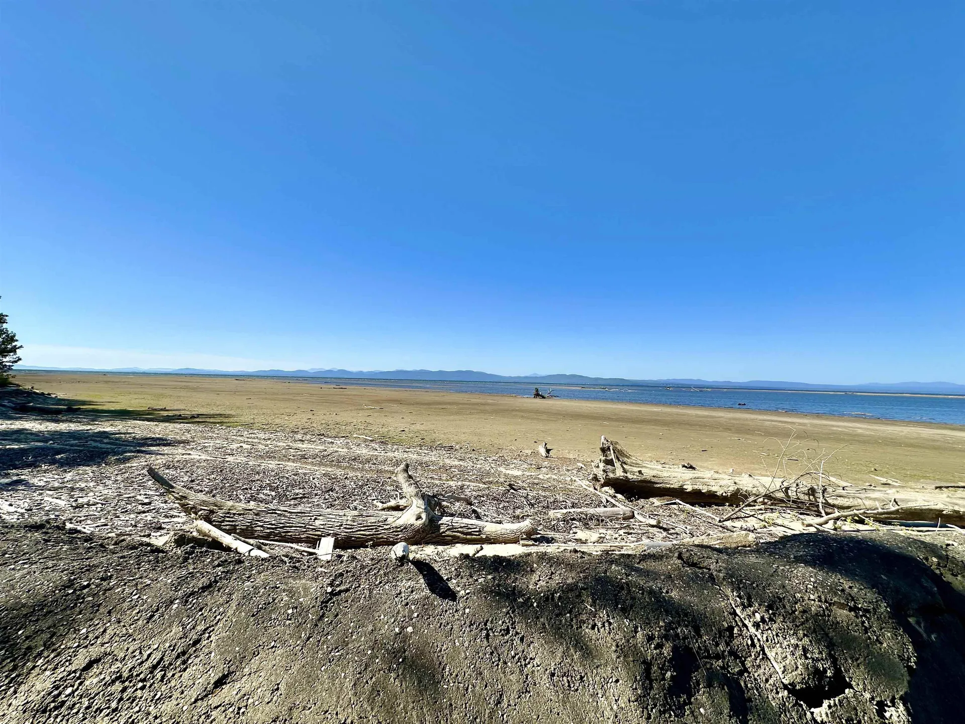 3181 North Avenue Burlington VT 05401