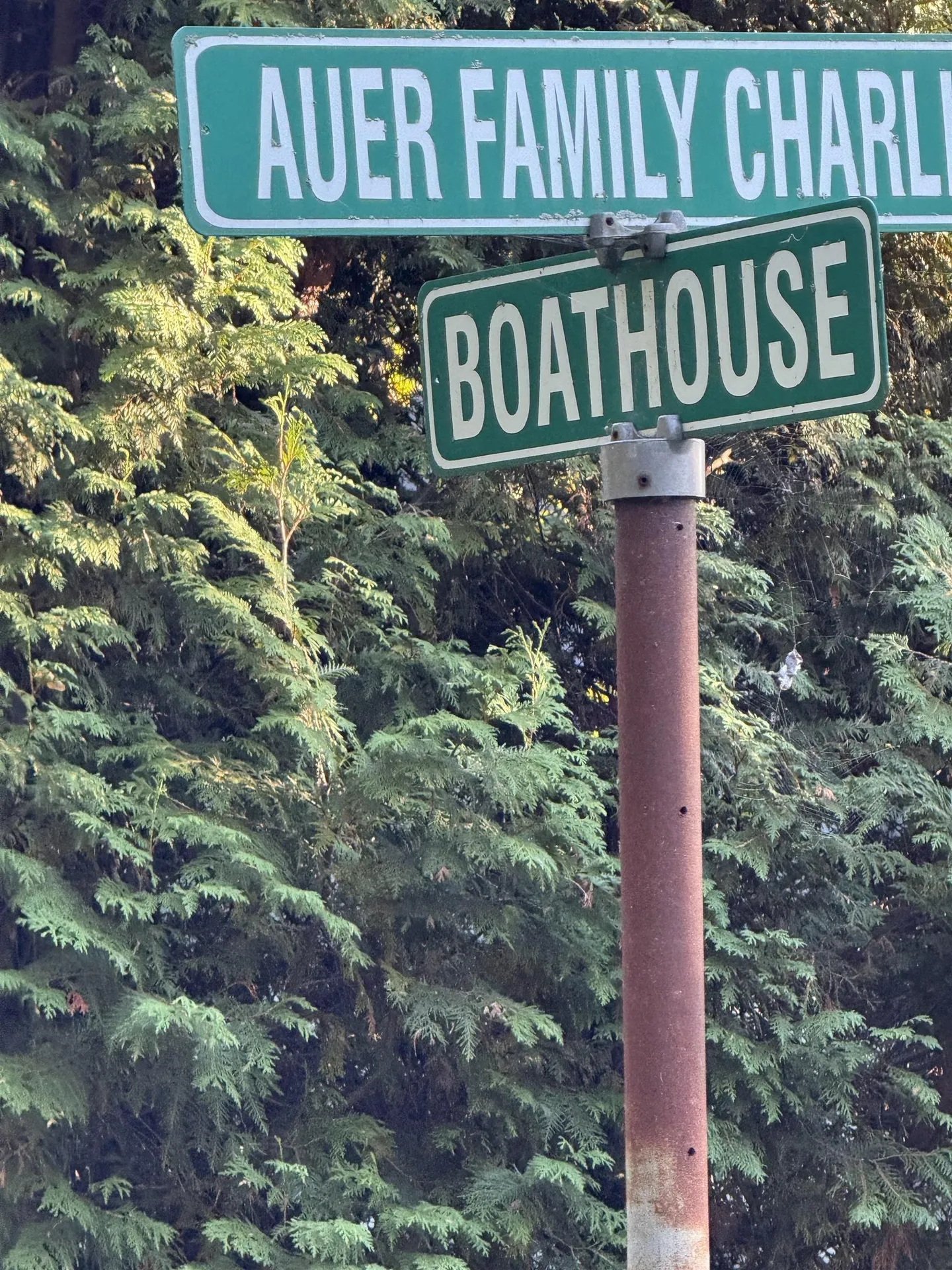 3181 North Avenue Burlington VT 05401