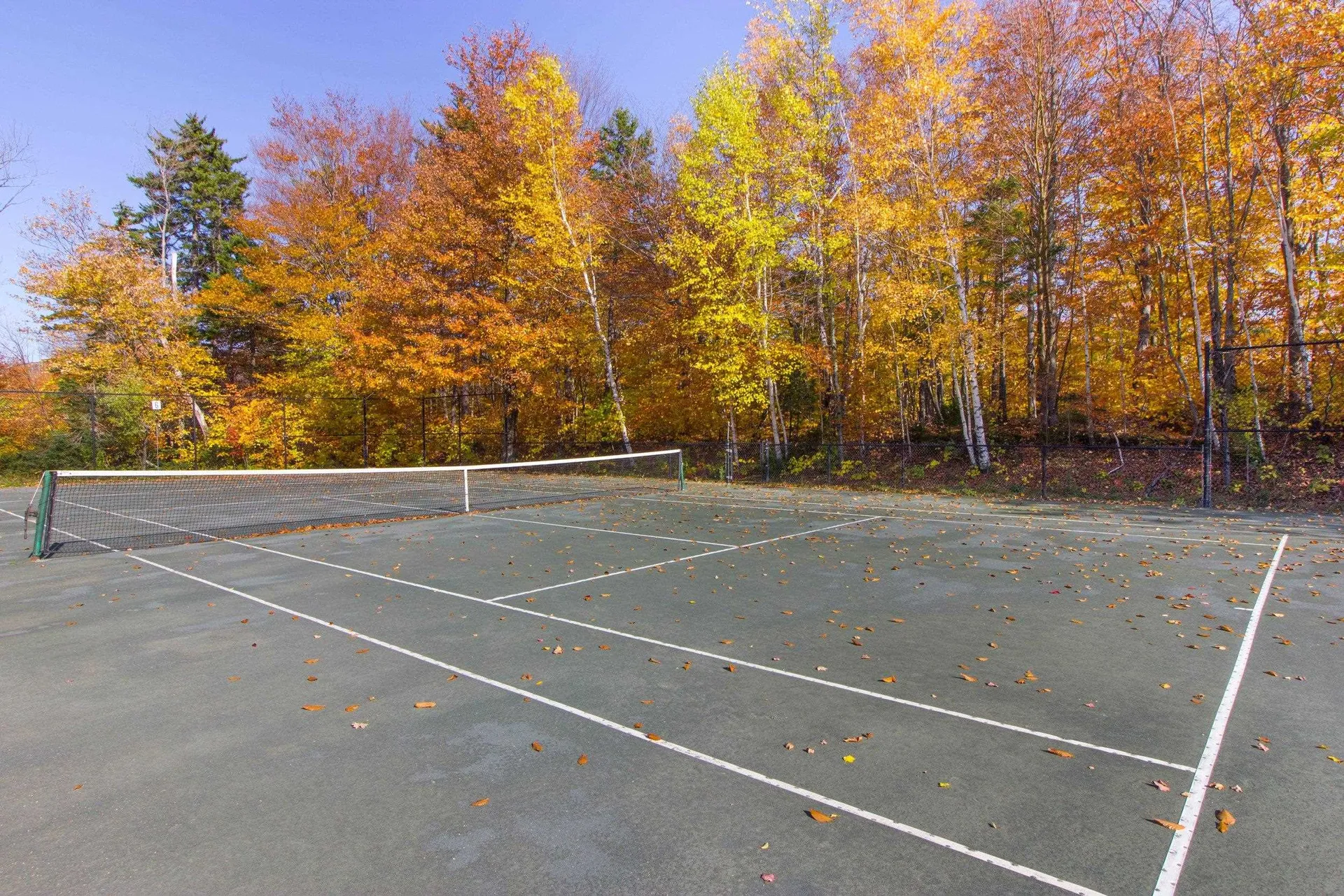 102 Upper Phase Road Warren VT 05674