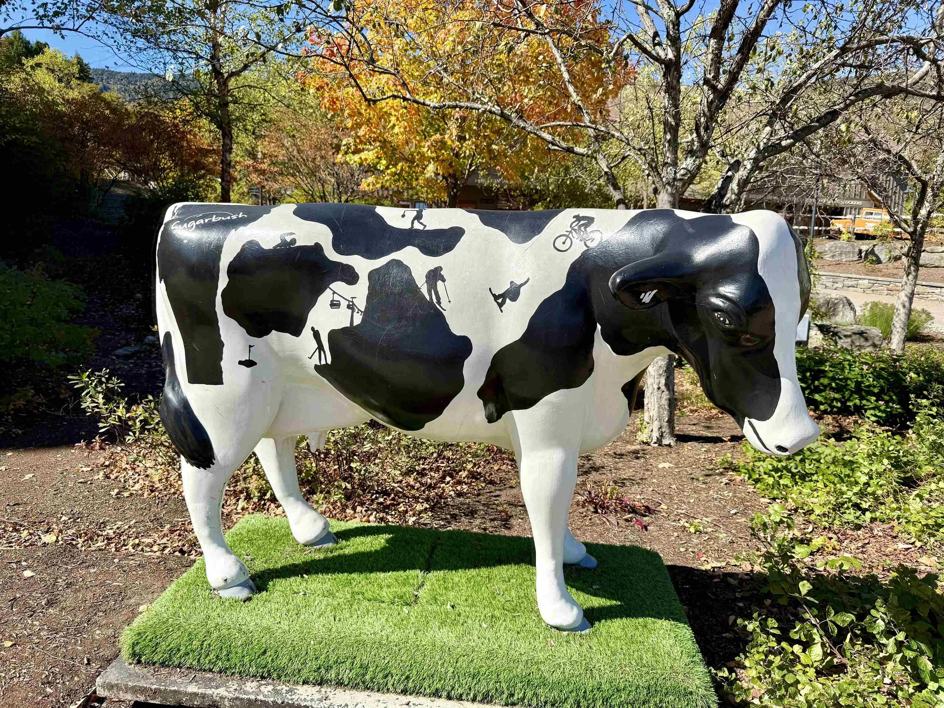 102 Upper Phase Road Warren VT 05674