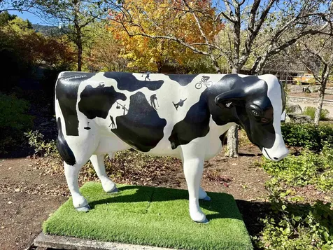 102 Upper Phase Road Warren VT 05674