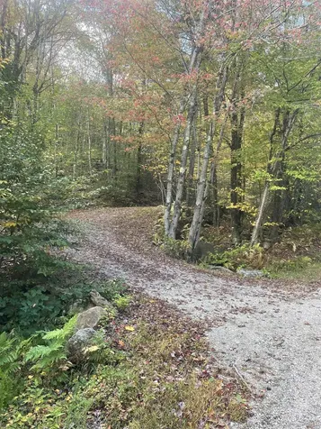 7-46 North Main Street Washington NH 03280