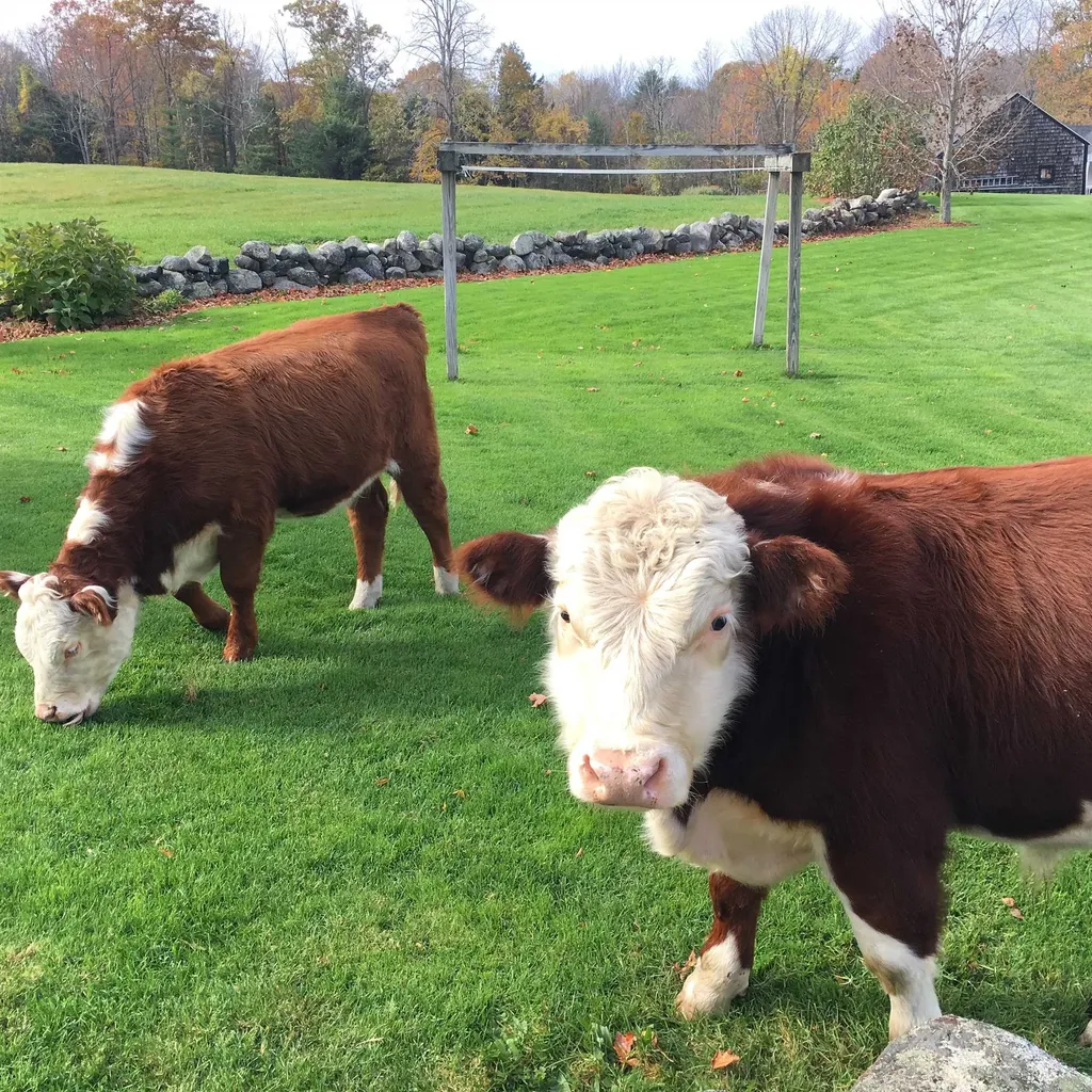 216 North Road Candia NH 03034