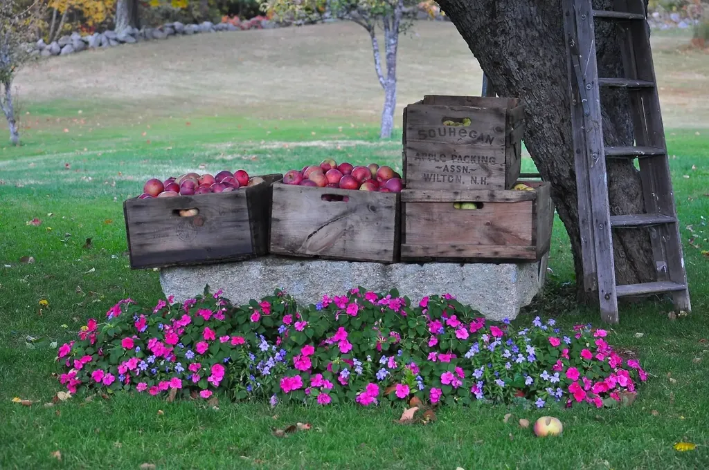 216 North Road Candia NH 03034