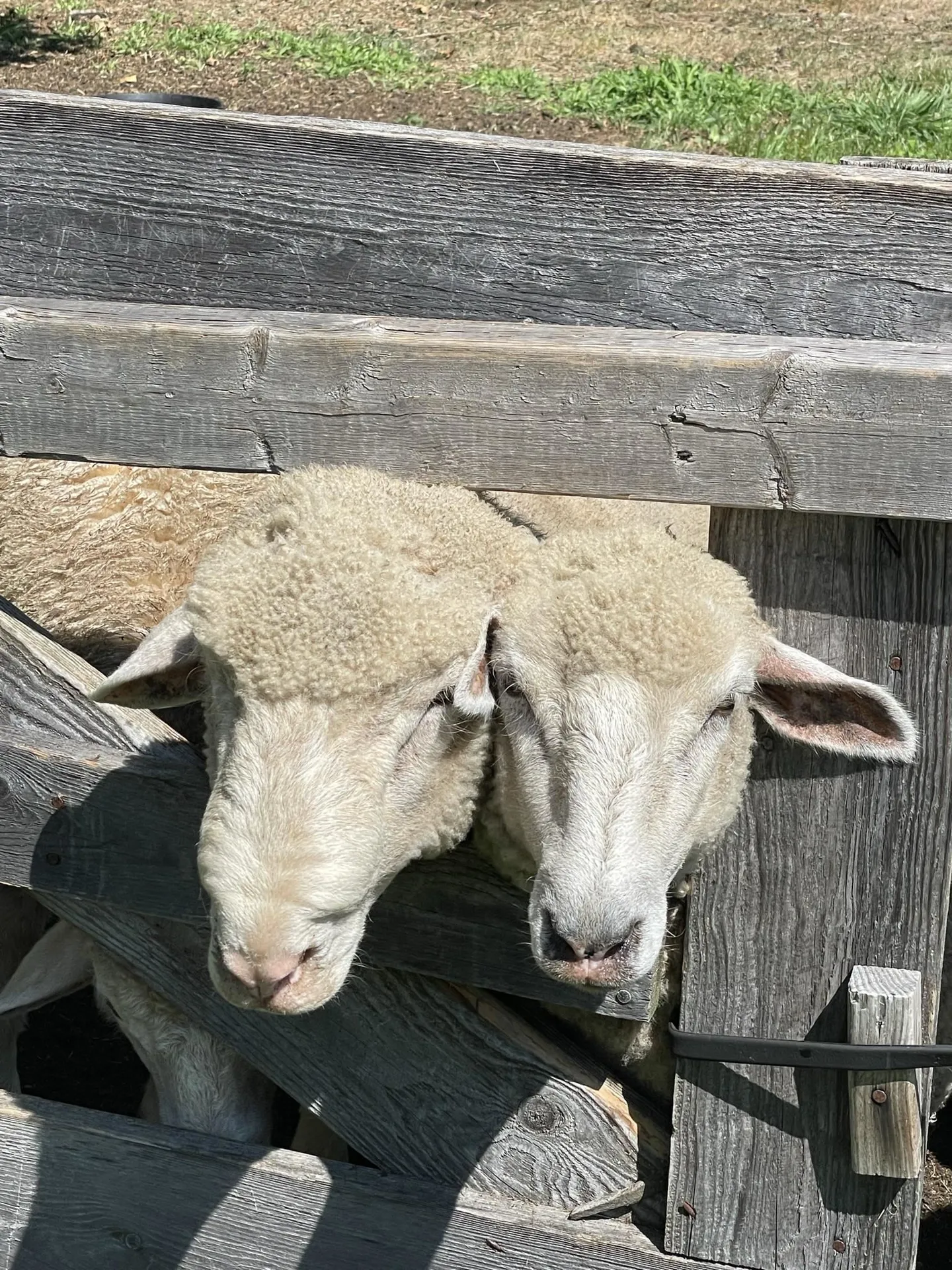 216 North Road Candia NH 03034