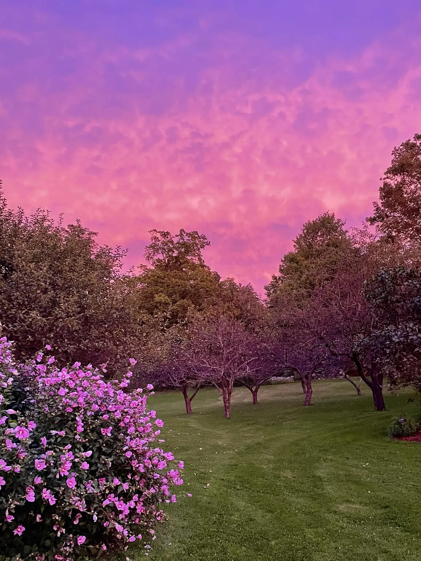 216 North Road Candia NH 03034