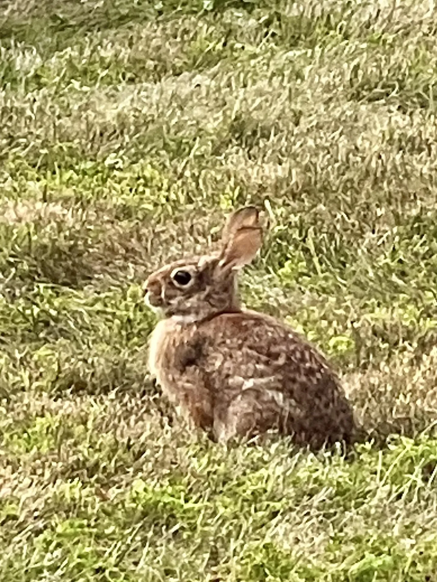 216 North Road Candia NH 03034