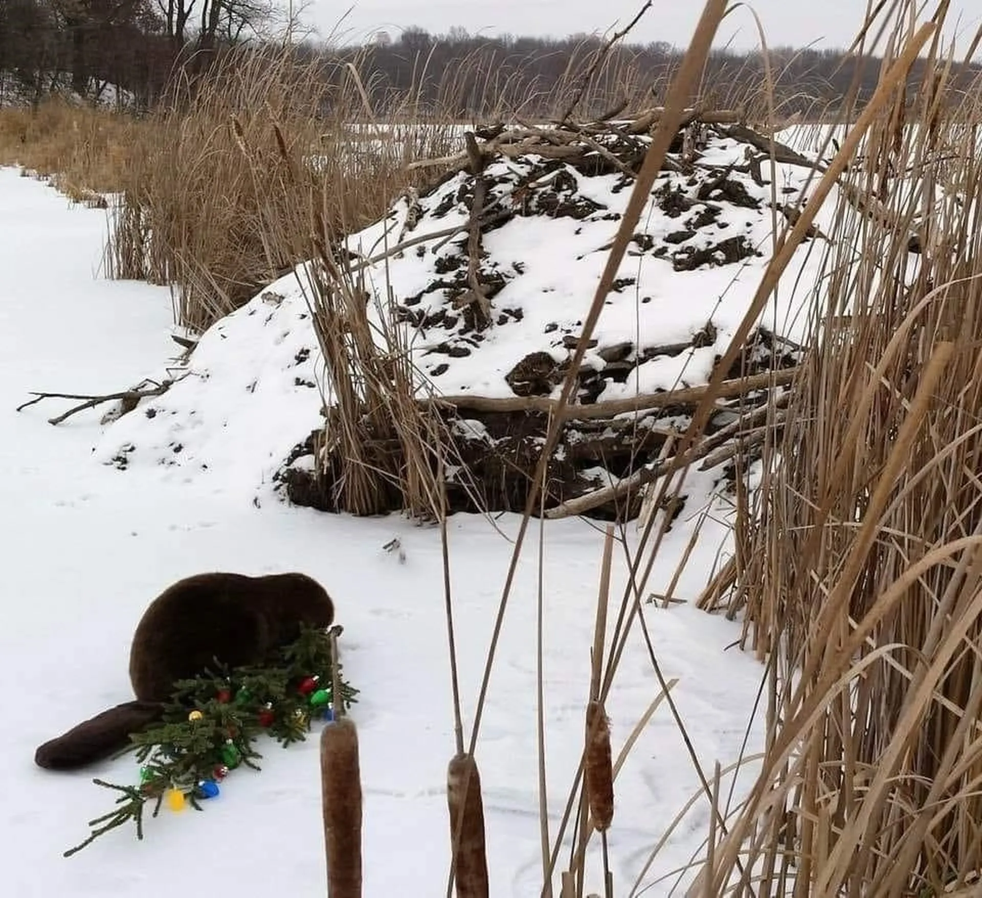 216 North Road Candia NH 03034