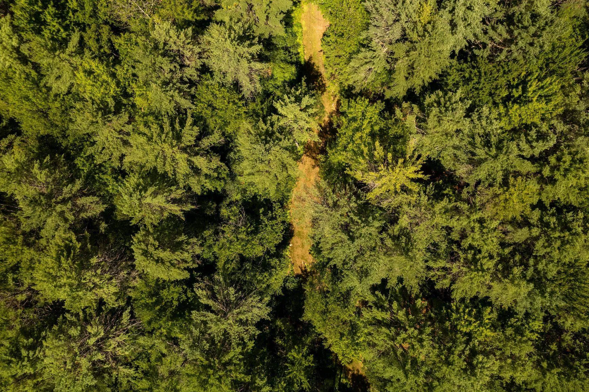 00 Nh Route 12a Plainfield NH 03781