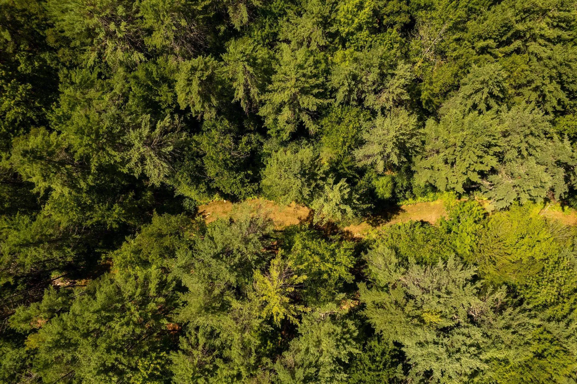 00 Nh Route 12a Plainfield NH 03781