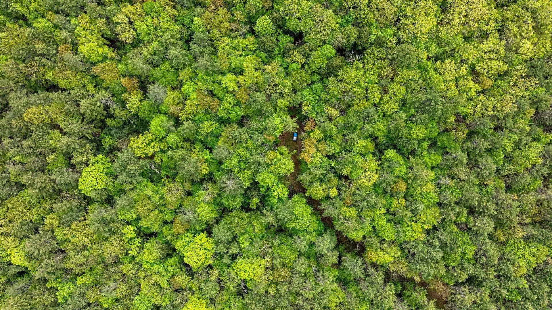 00 Nh Route 12a Plainfield NH 03781