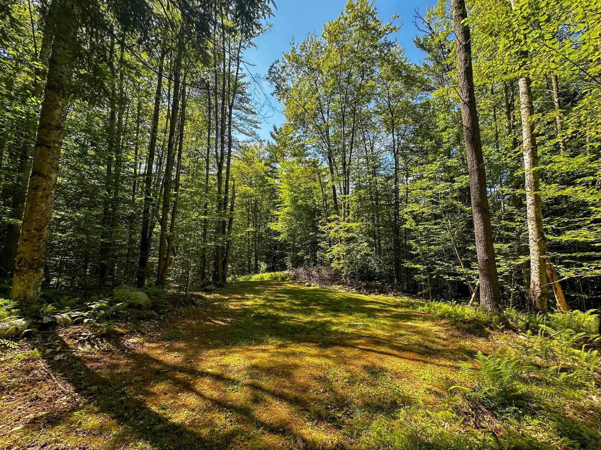 00 Nh Route 12a Plainfield NH 03781