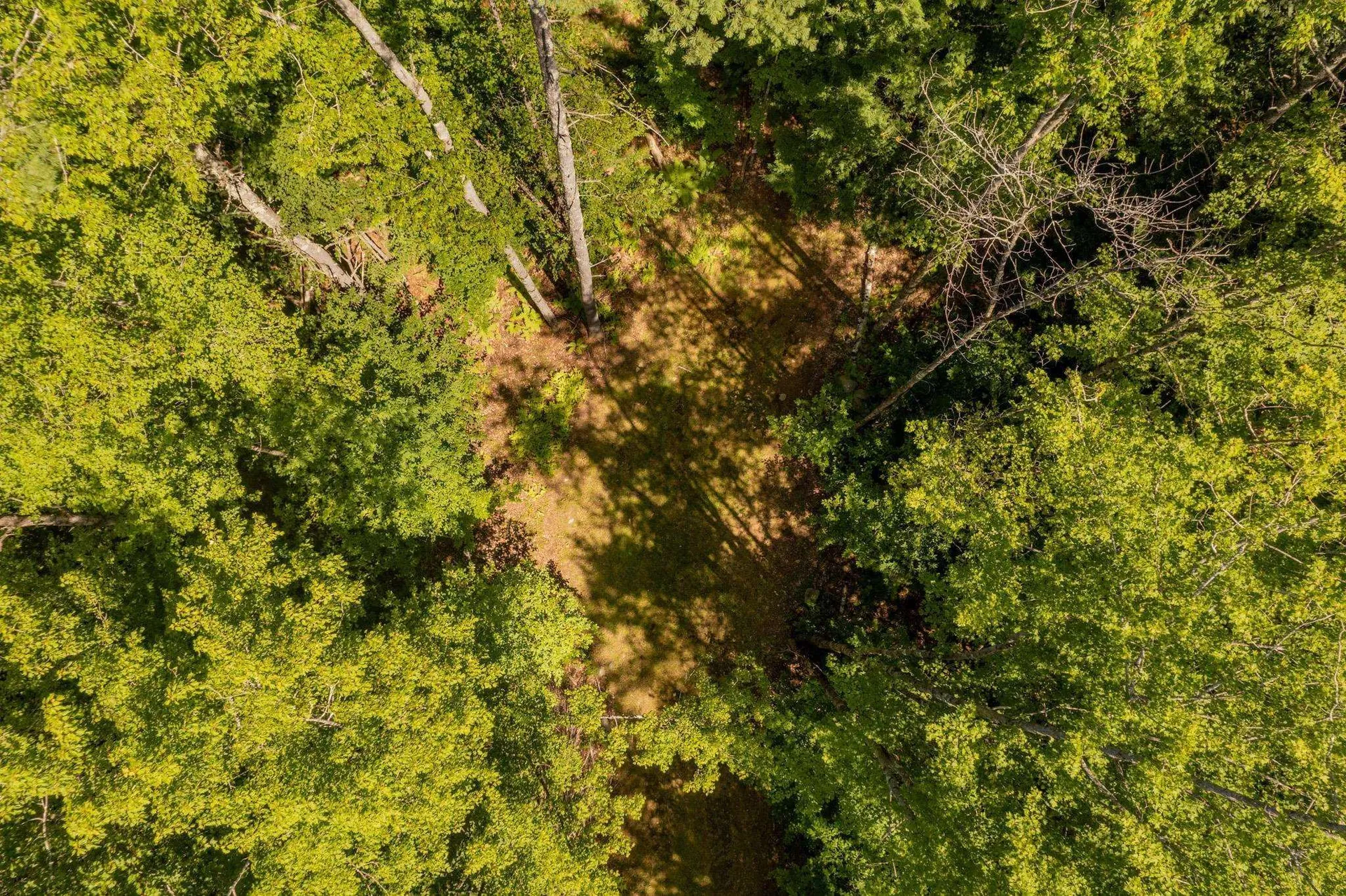 00 Nh Route 12a Plainfield NH 03781