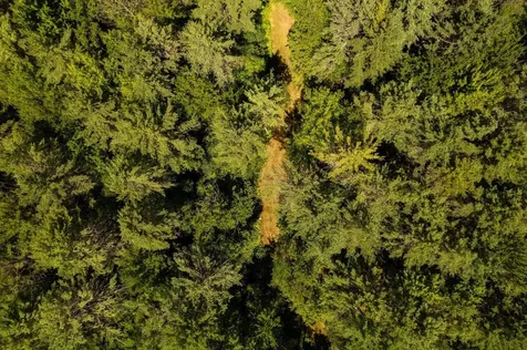 00 Nh Route 12a Plainfield NH 03781