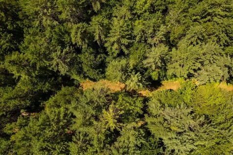 00 Nh Route 12a Plainfield NH 03781