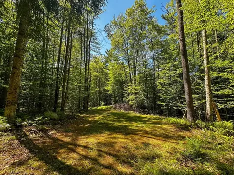 00 Nh Route 12a Plainfield NH 03781