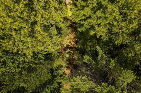 00 Nh Route 12a Plainfield NH 03781